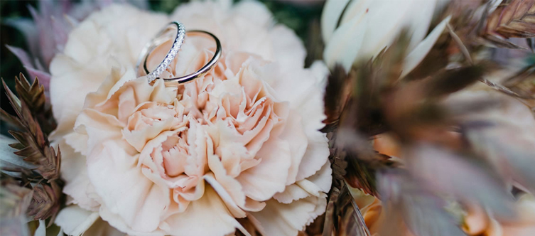 Hochzeitsringe auf Blumen